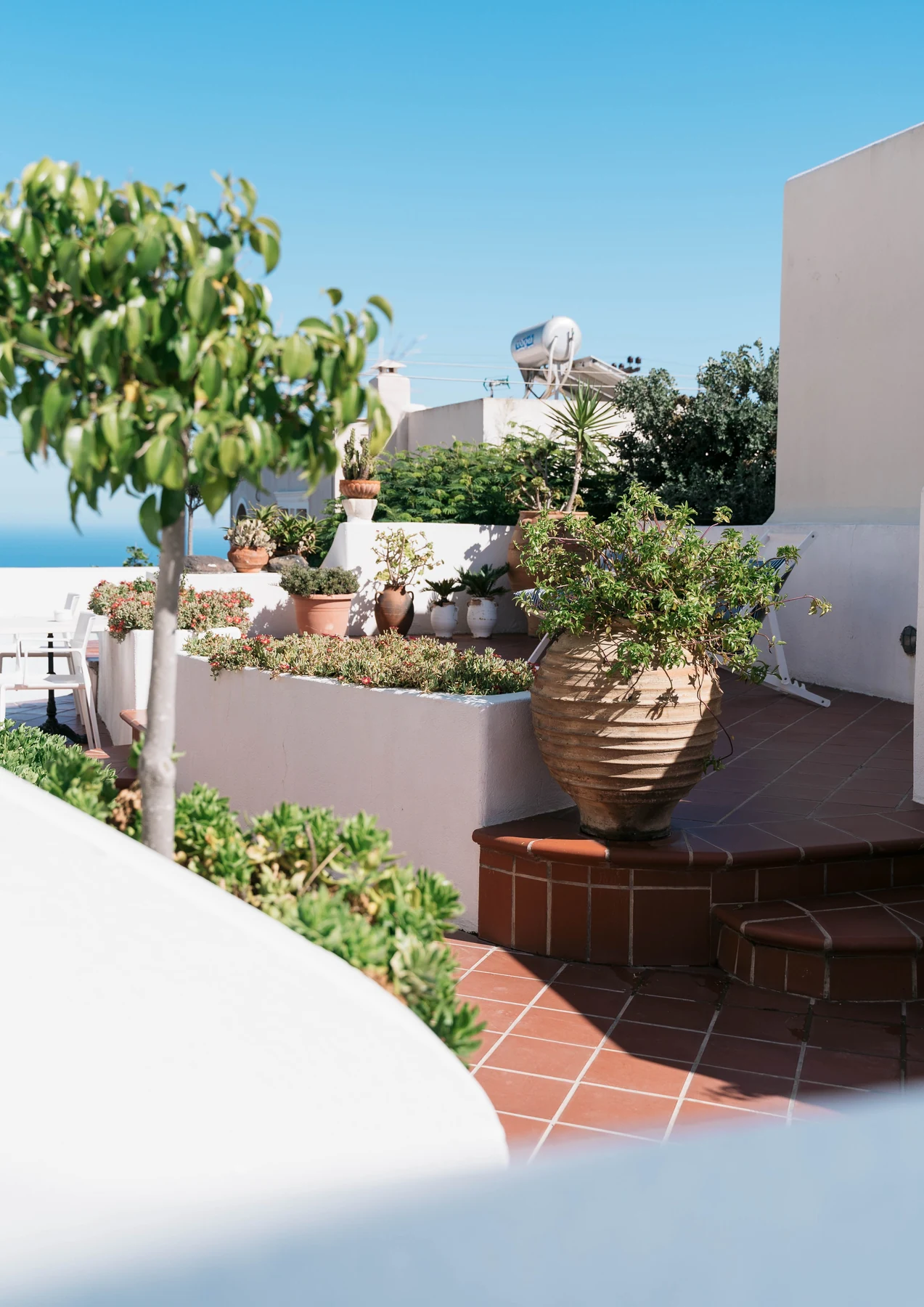 A little Mediterranean sunshine: white walls, terracotta, and green