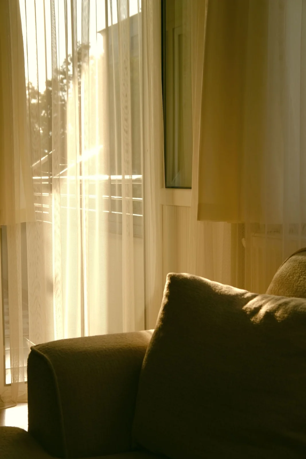 Sunlight passes through sheer curtains beside a sofa