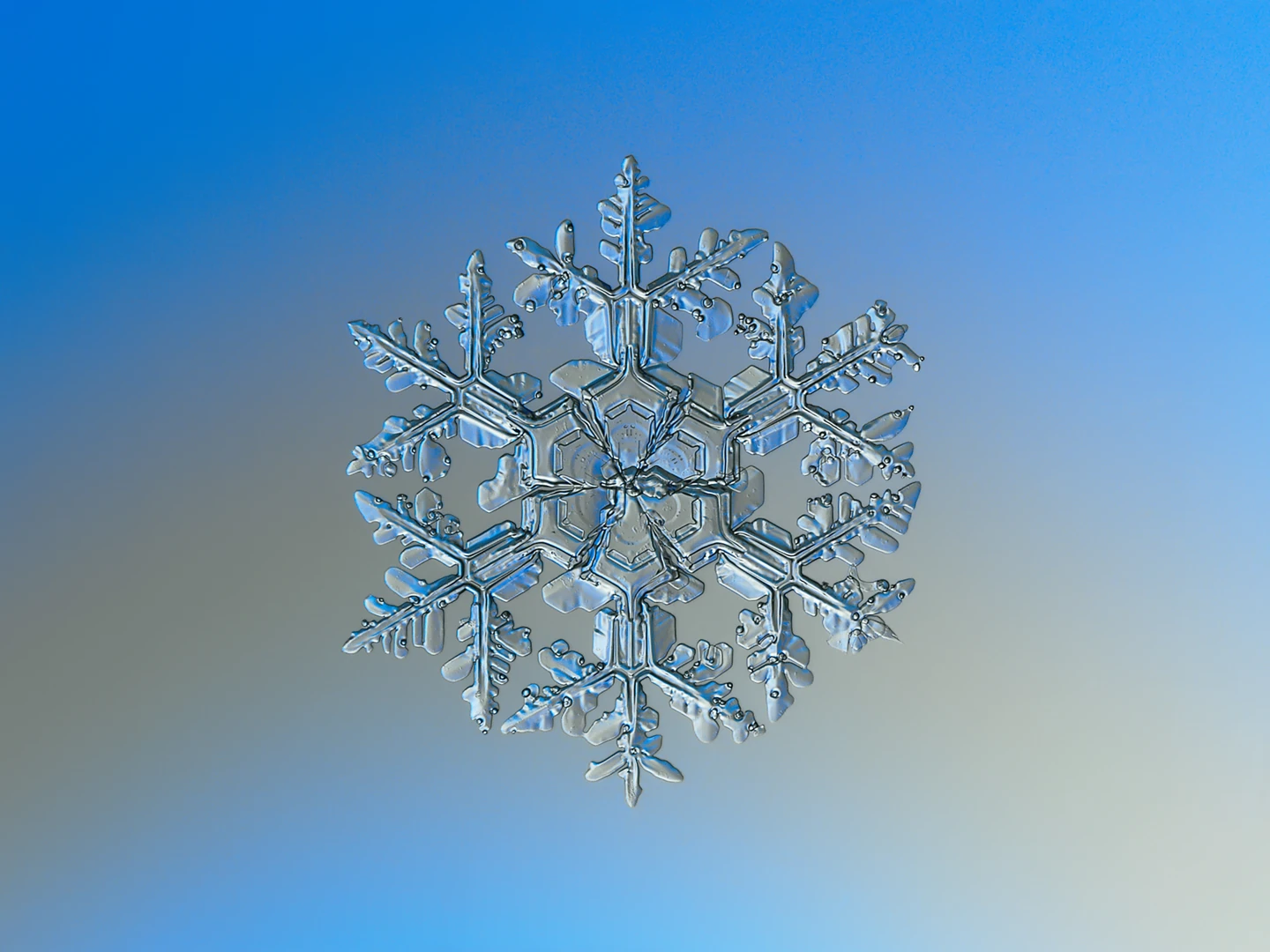 A real snow crystal about 4–5 mm across, photographed by Alexey Kljatov. Snowflake macro photography 1, CC BY-SA 4.0. The original averages 11 RAW frames; our copy is resized and converted to WebP. Source and license linked below.