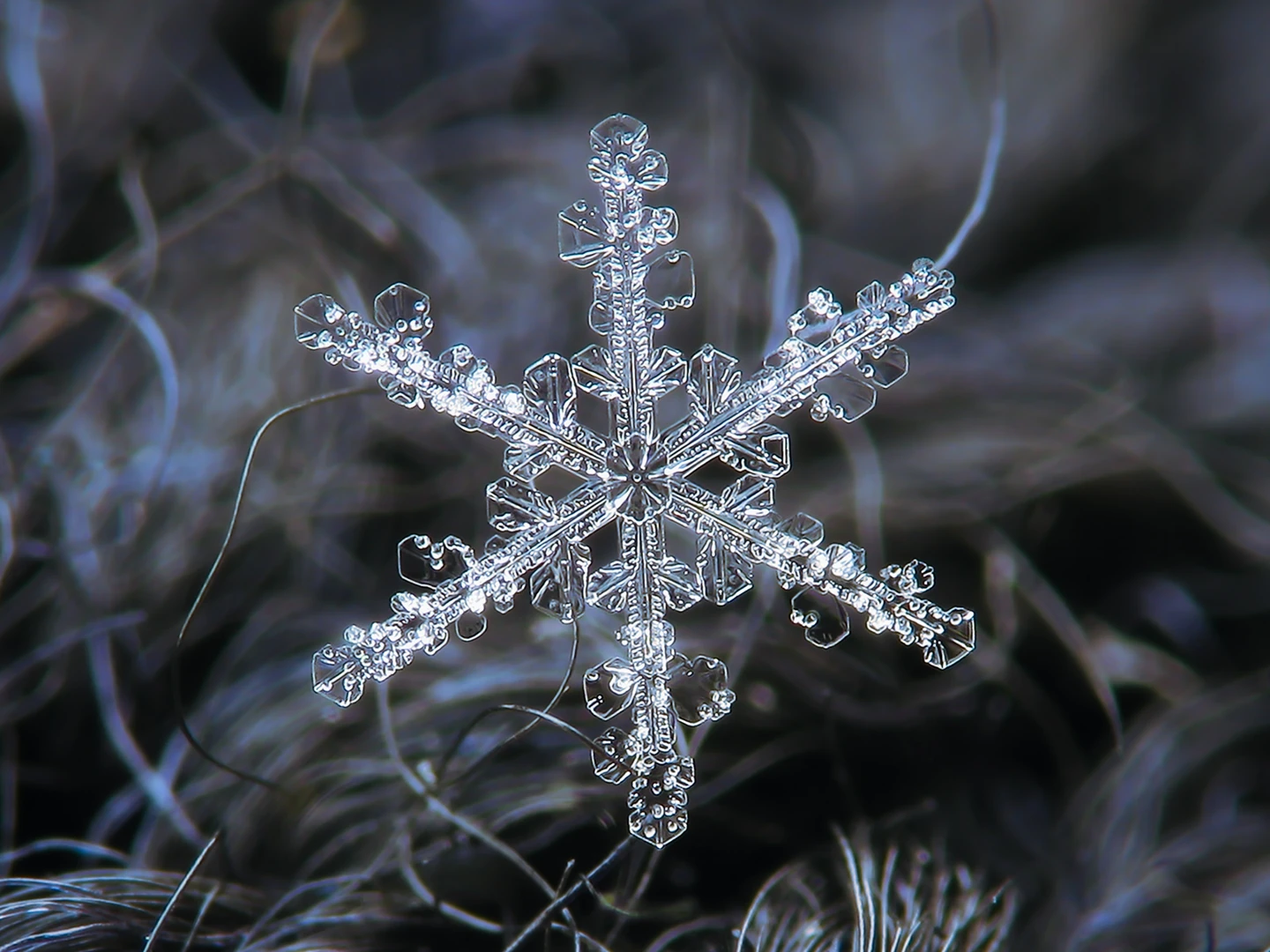 Close-up of a six-sided snow crystal with a patterned center and tiny frozen droplets on its surface